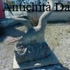 Aquila in pietra